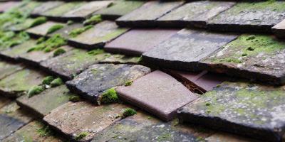 Pentre Cwrt roof repair costs